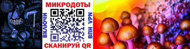 Псилоцибиновые грибы Psilocybe  Ессентукская 