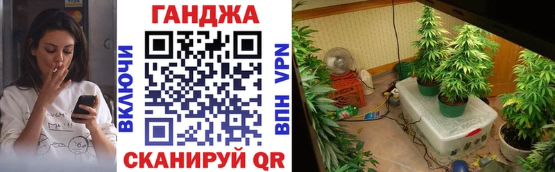 Каннабис конопля  где купить   shop официальный сайт  Ессентукская  ОМГ ОМГ как зайти 